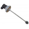Magnetic level switch
